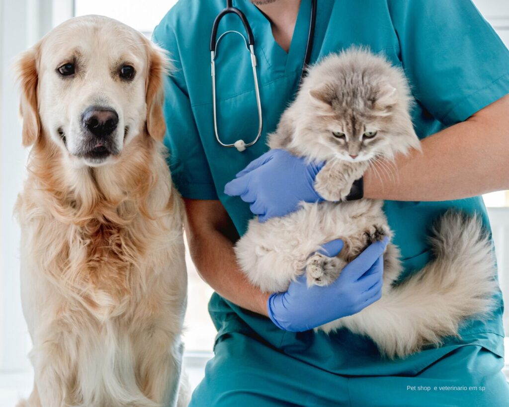 Consulta veterinária de rotina para cães e gatos em São Paulo