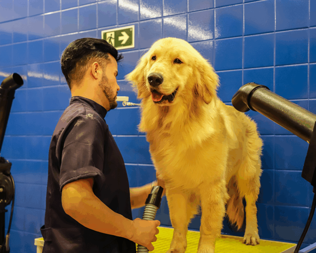 Ambiente integrado de banho, tosa e clínica veterinária no Villa Puppy Pet Shop do Shopping VillaLobos, SP.