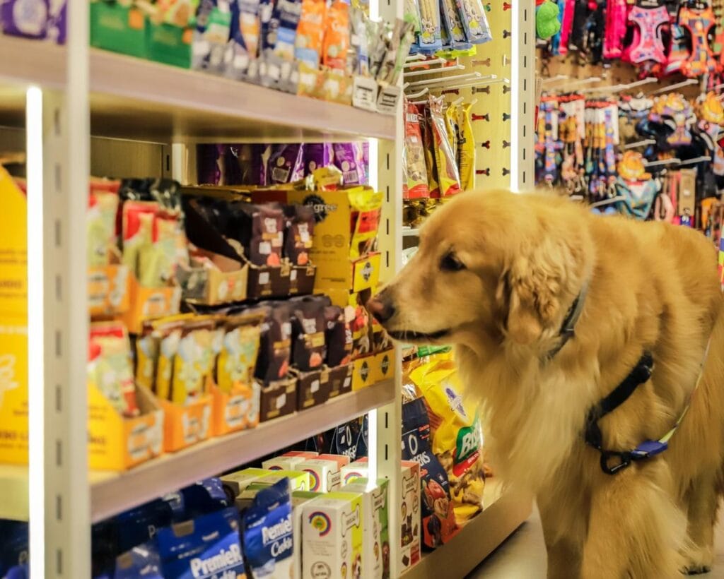 Cão recebendo banho em centro estético da Villa Puppy no Villa Lobos
