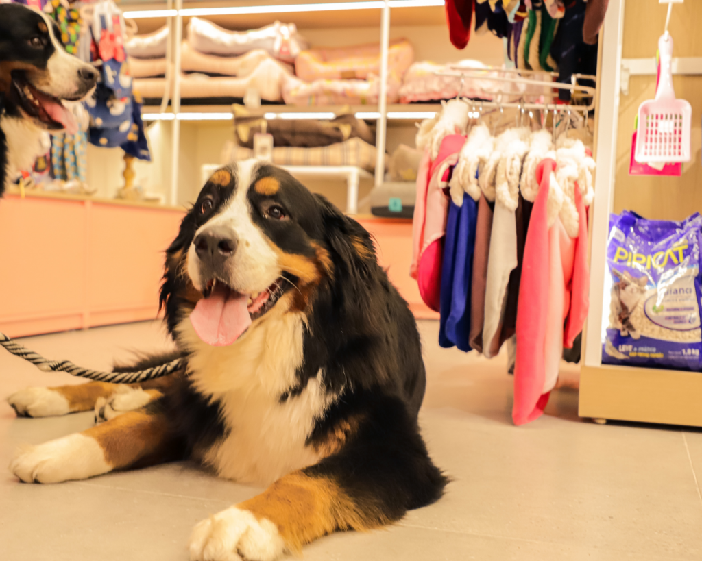 Interior da Villa Puppy Pet Shop no Shopping VillaLobos em Alto de Pinheiros São Paulo